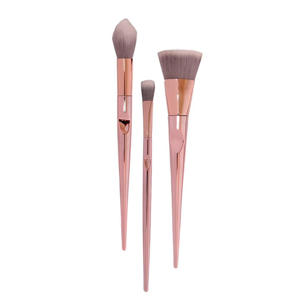 SET DE BROCHAS DE MAQUILLAJE X 10